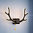 Настенный светильник Креативные оленьи рога-2 B Белый фото 20